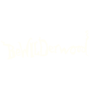 BeWILDerwood