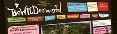BeWILDerwood